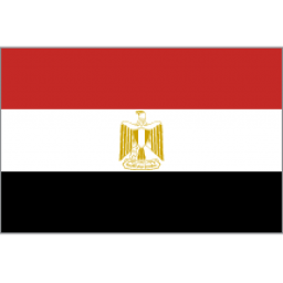 埃及男篮队标,埃及男篮图片